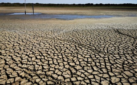 Agua de Doñana - Informe para la presidencia de la Comisión Europea
