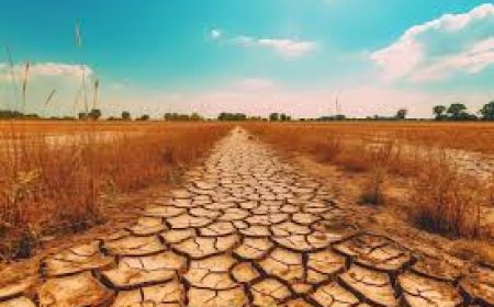 No hay vida sin agua