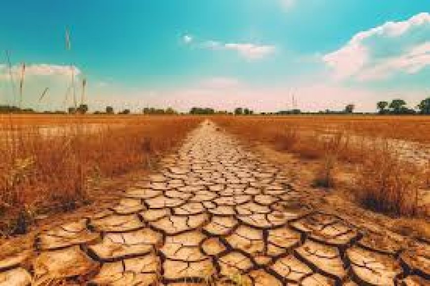 No hay vida sin agua