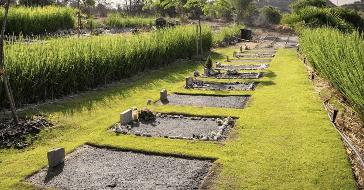 Las cifras del primer cementerio público de mascotas de España: entierros, incineraciones y los animales más atendidos