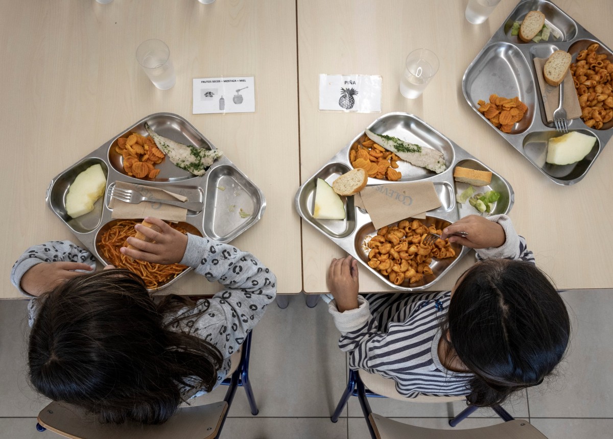 Recetas que sí funcionan contra la obesidad infantil: alertas en las etiquetas, coto a la publicidad y fin a la comida basura en colegios