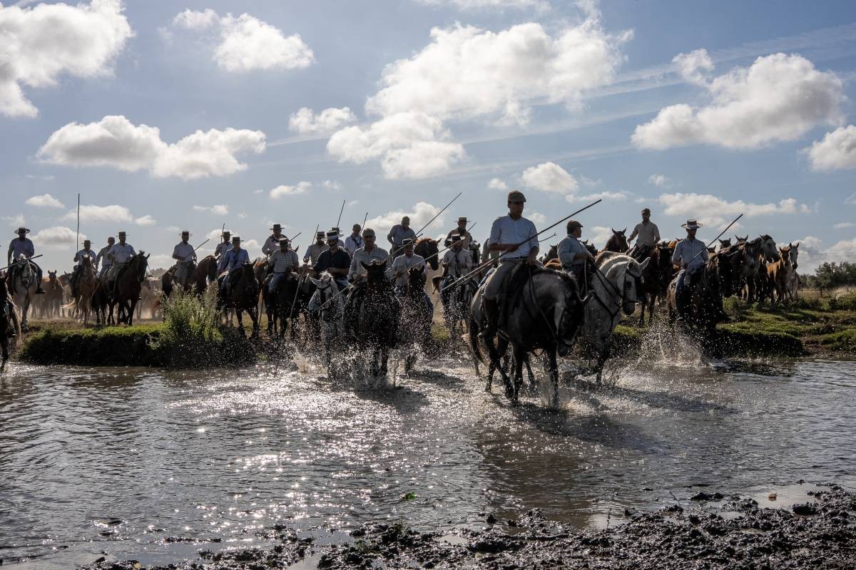 De Doñana a Almonte con la bendición de la Virgen en El Rocío: así ha sido la espectacular Saca de las Yeguas