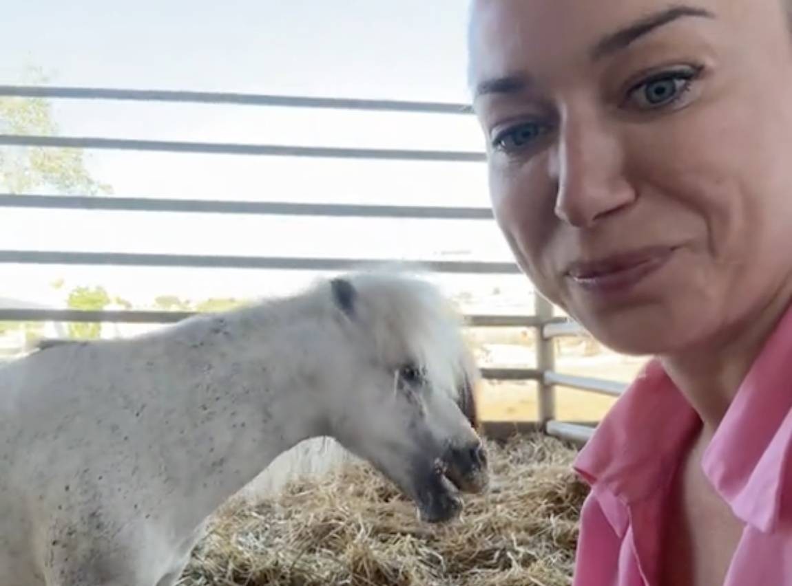 Vuelve a casa Ciciu, el poni secuestrado por el que su dueña ofrecía 50.000 euros: &amp;quot;Una película con &amp;#039;happy end&amp;#039;&amp;quot;