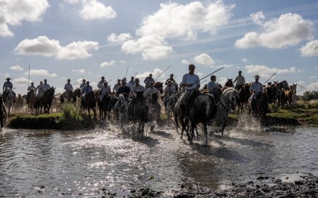 De Doñana a Almonte con la bendición de la Virgen en El Rocío: así ha sido la espectacular Saca de las Yeguas
