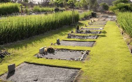 Las cifras del primer cementerio público de mascotas de España: entierros, incineraciones y los animales más atendidos