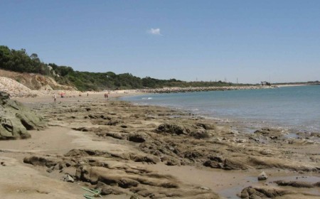 ¿Qué pasa con la playa canina de Rota?: comienza el verano sin espacio para las familias con perros
