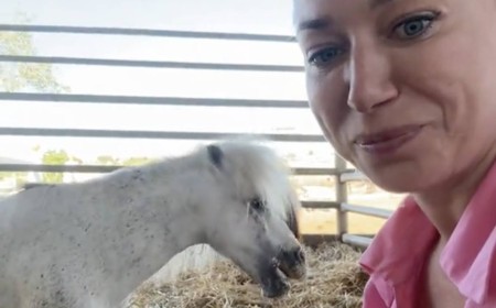 Vuelve a casa Ciciu, el poni secuestrado por el que su dueña ofrecía 50.000 euros: &amp;quot;Una película con &amp;#039;happy end&amp;#039;&amp;quot;
