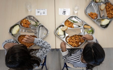 Recetas que sí funcionan contra la obesidad infantil: alertas en las etiquetas, coto a la publicidad y fin a la comida basura en colegios