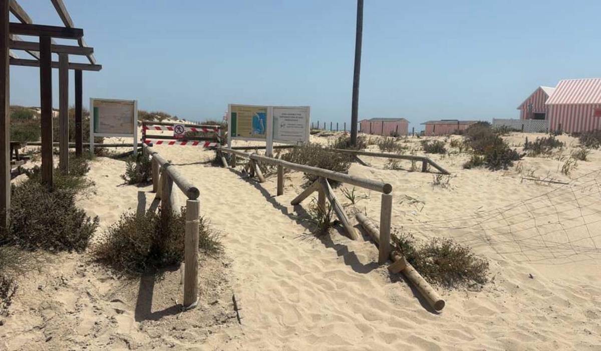 Habrá playa canina en San Fernando tras el acuerdo de Junta con Ayuntamiento por la Punta del Boquerón