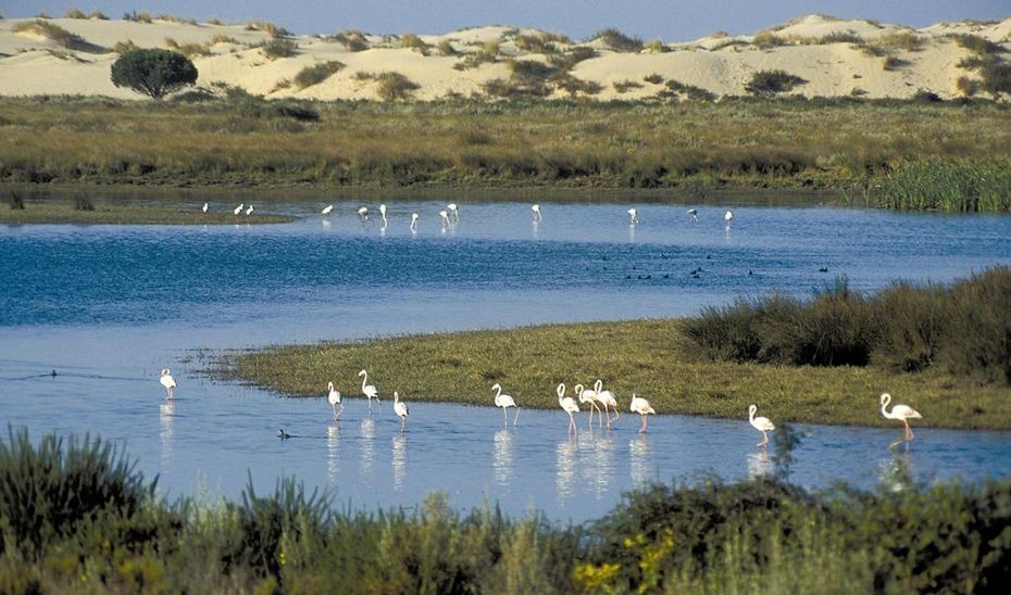 Más de 200 garrafas de combustible para narcolanchas en pleno Doñana: &amp;quot;Es indignante&amp;quot;