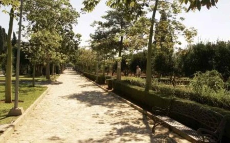 Una niña de dos años pierde una mano tras el ataque de un perro en un parque de Chiclana