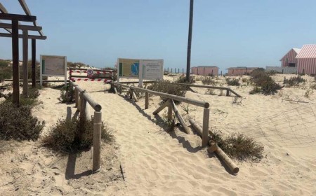 Habrá playa canina en San Fernando tras el acuerdo de Junta con Ayuntamiento por la Punta del Boquerón