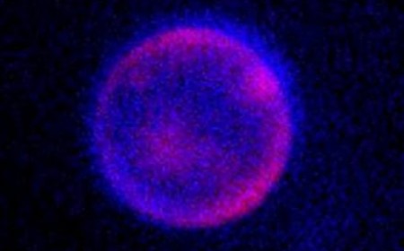 Las nuevas células sintéticas no son vida artificial, pero son importantes